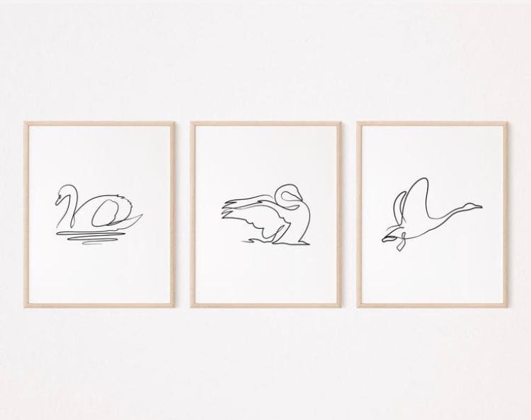 Three framed line drawings of swans on a white wall