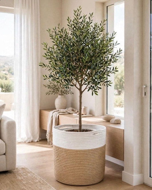 Ash Basket